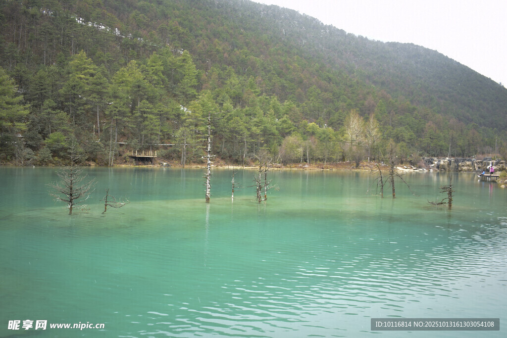 碧绿湖水