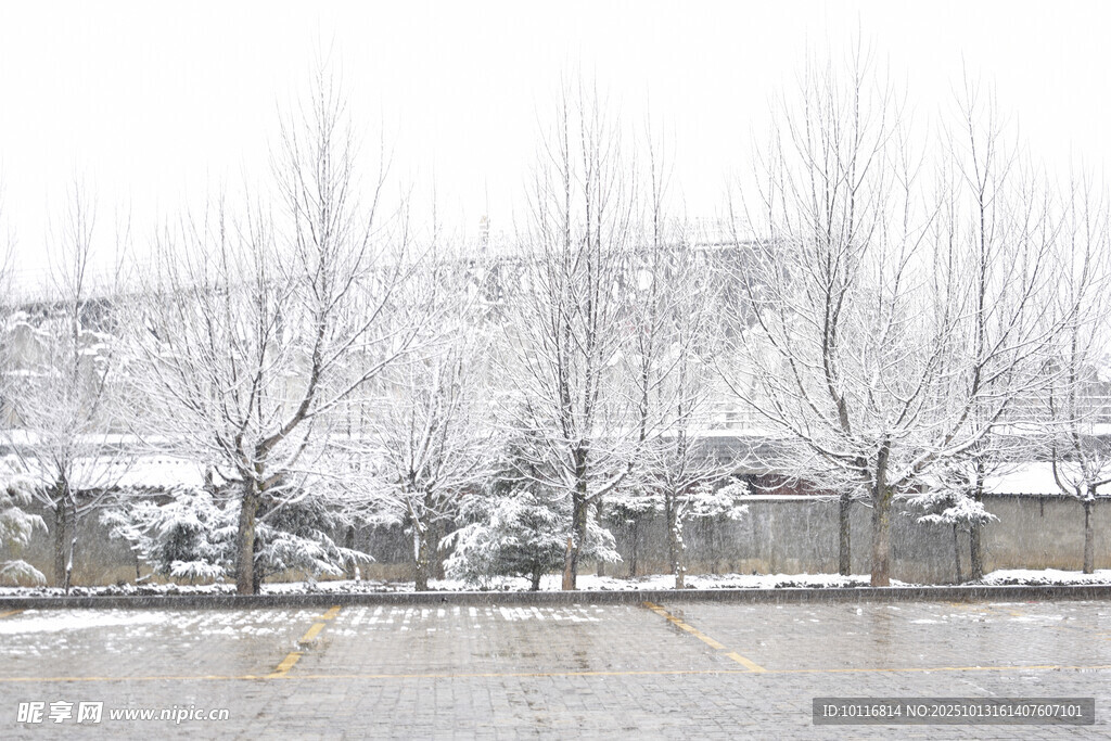 冬日雪景