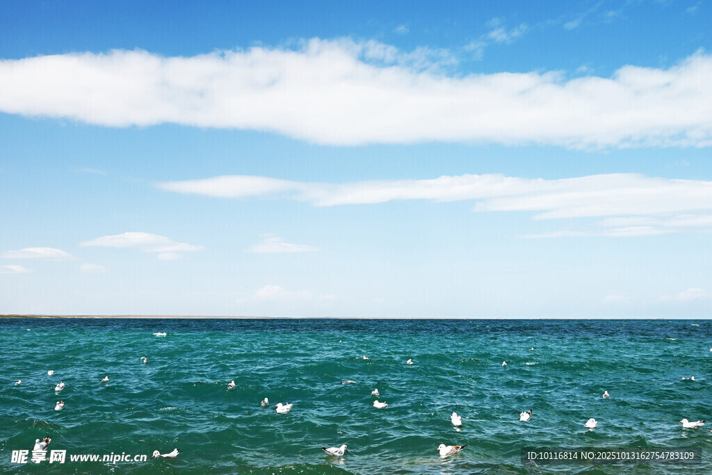 大海