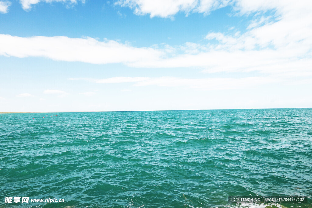 大海