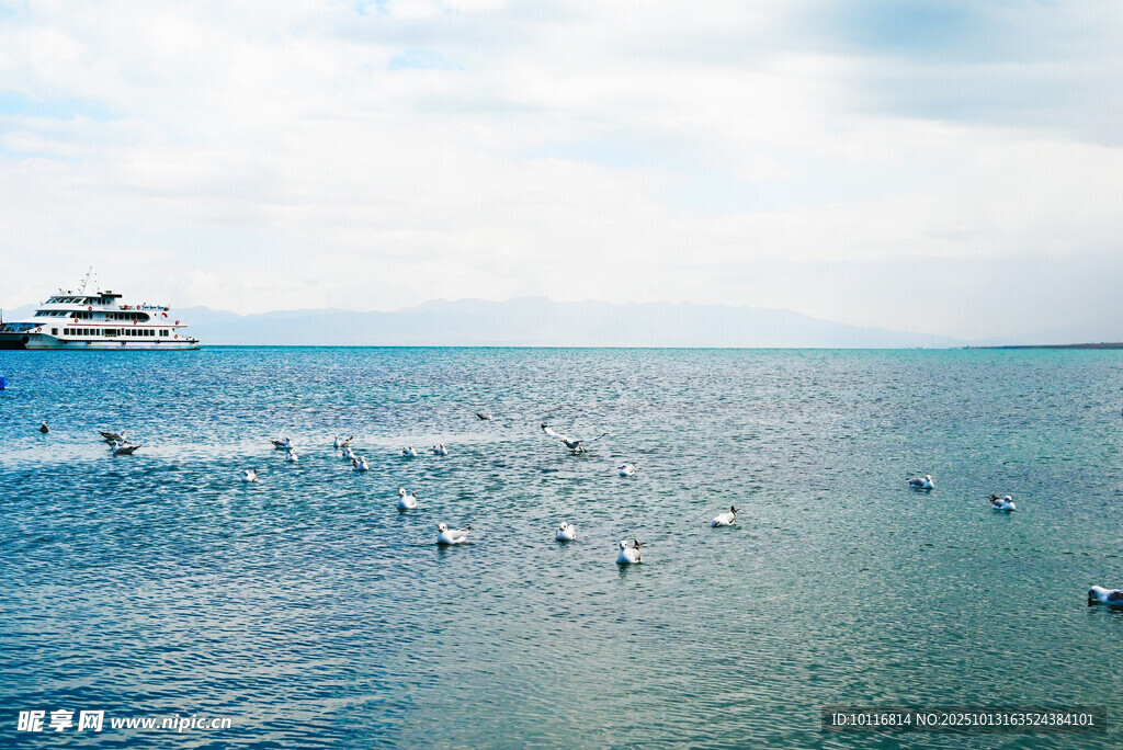 海面