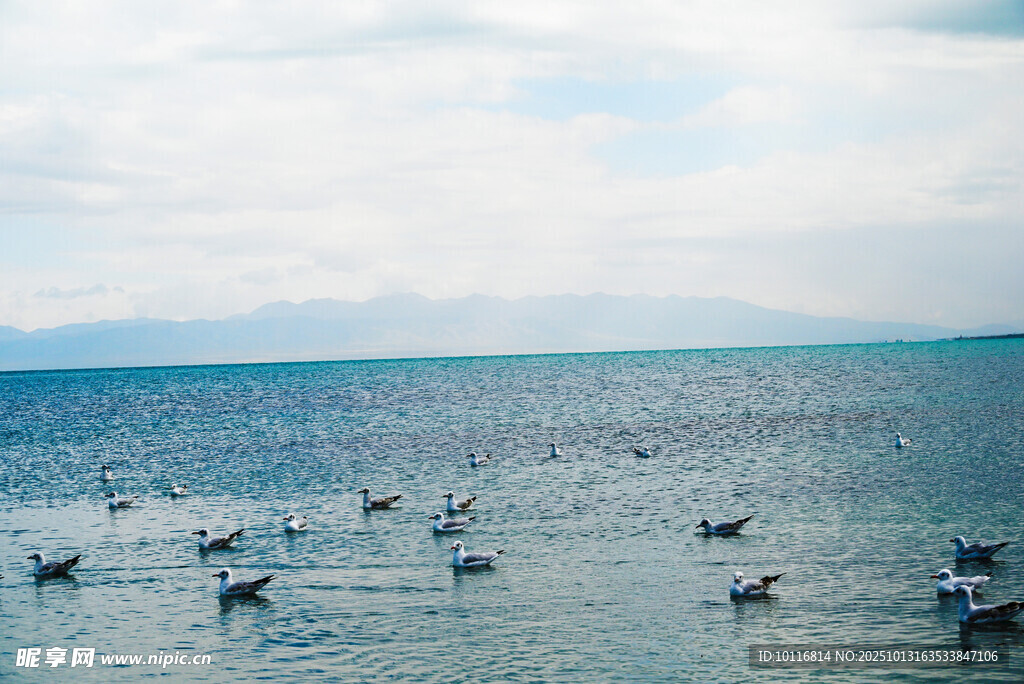 海面