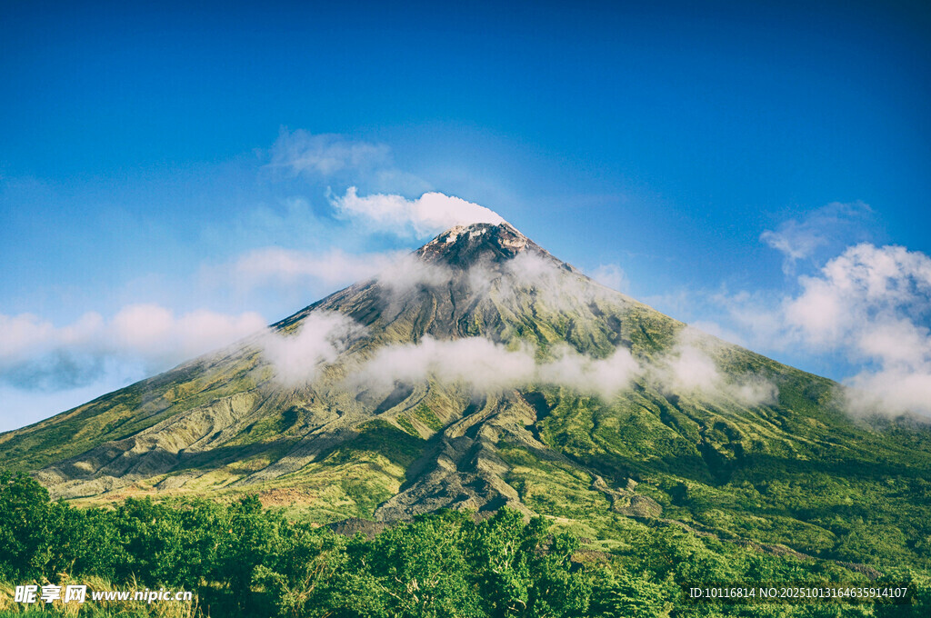 青山