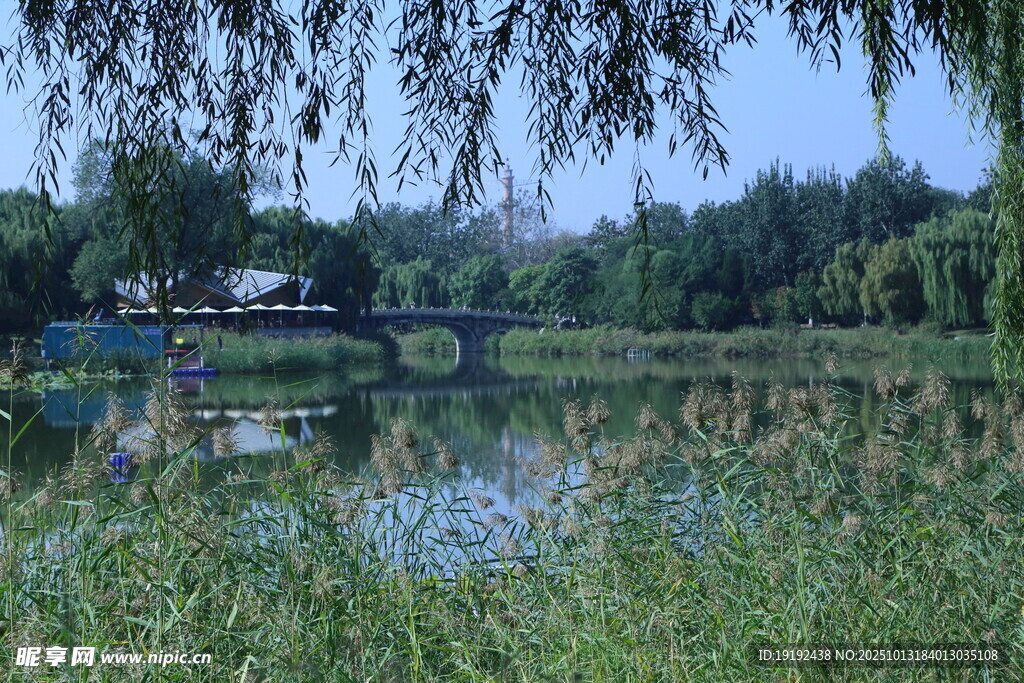 公园风景 