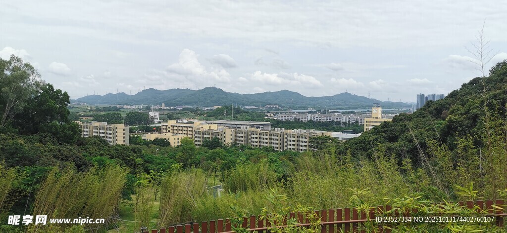 科技公园远眺随拍 