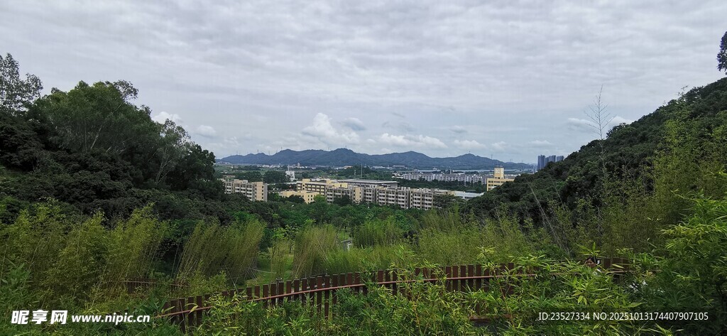 科技公园远眺随拍 