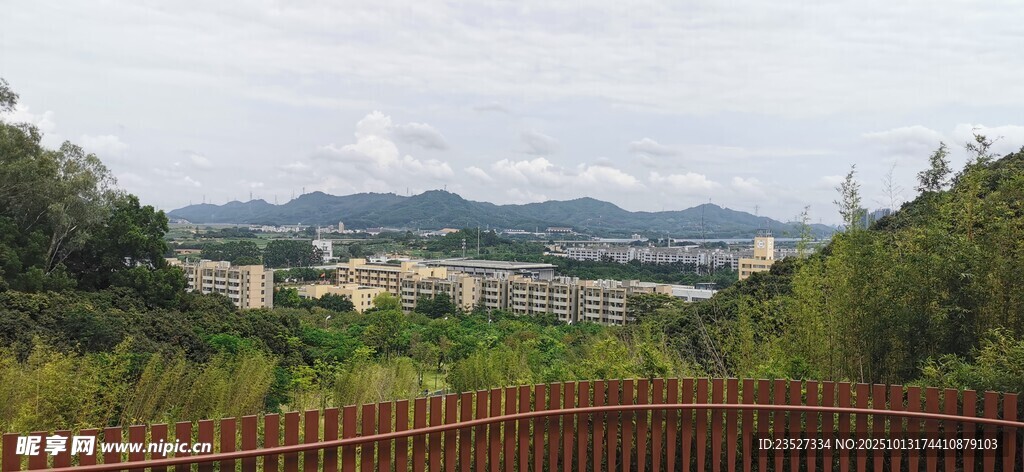 科技公园远眺随拍 