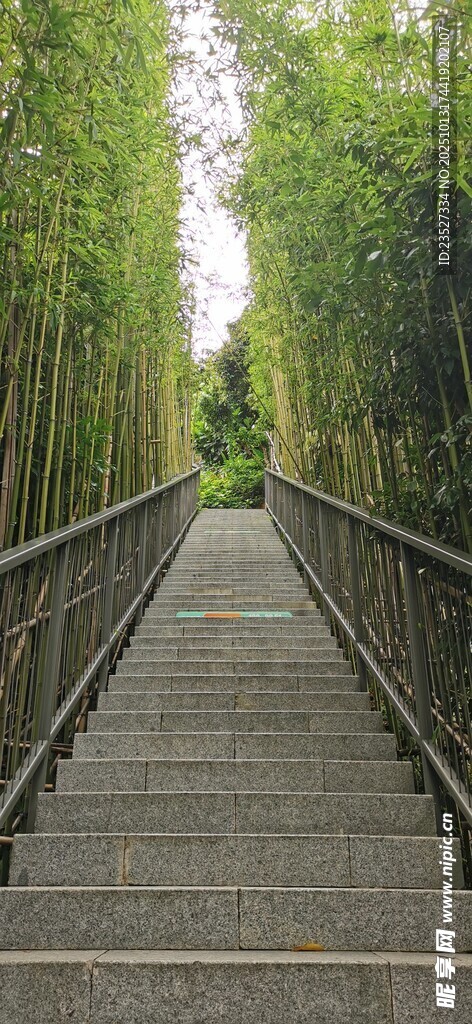 科技公园远眺随拍 