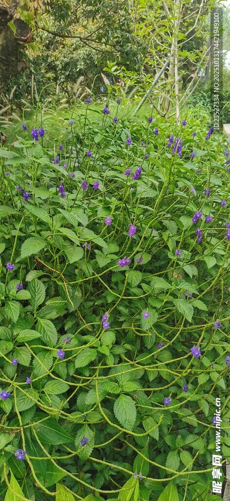 科技公园远眺随拍 