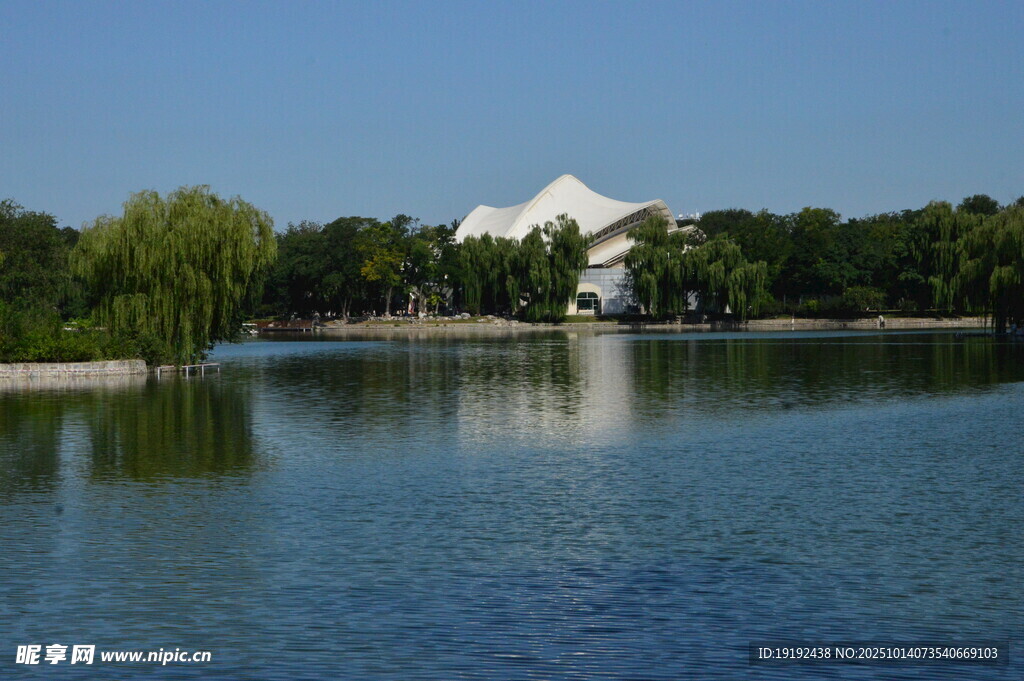 公园风景 