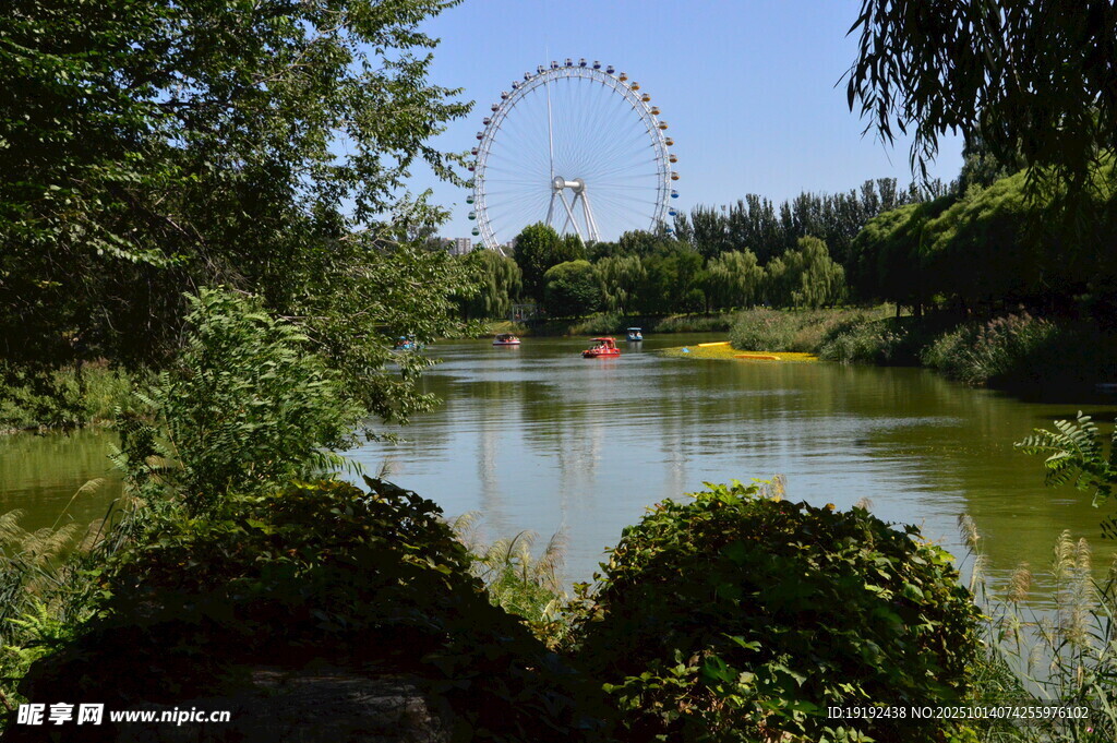 公园风景 