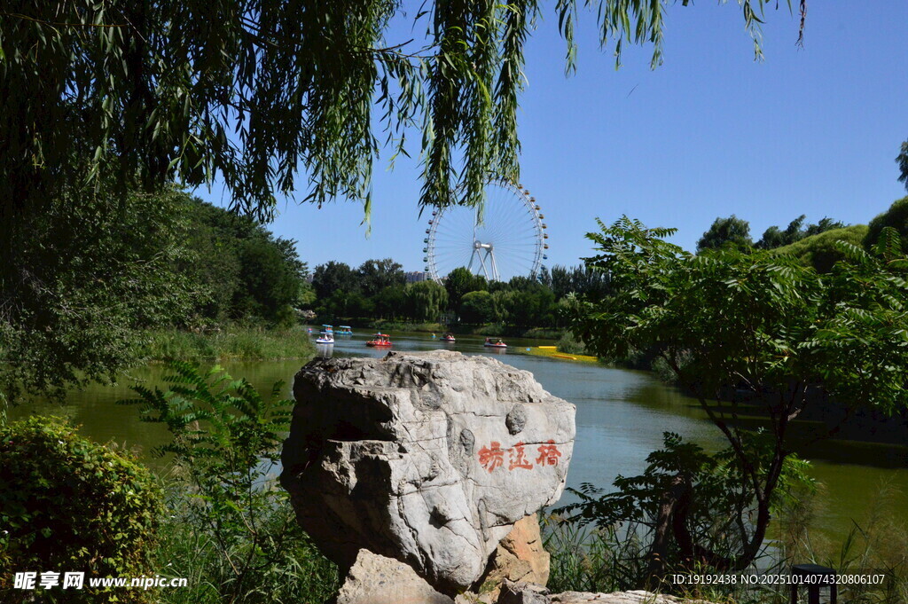公园风景 