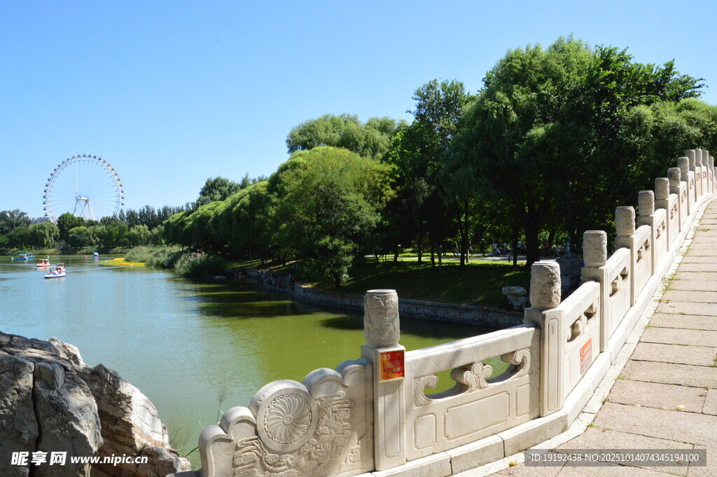 公园风景 
