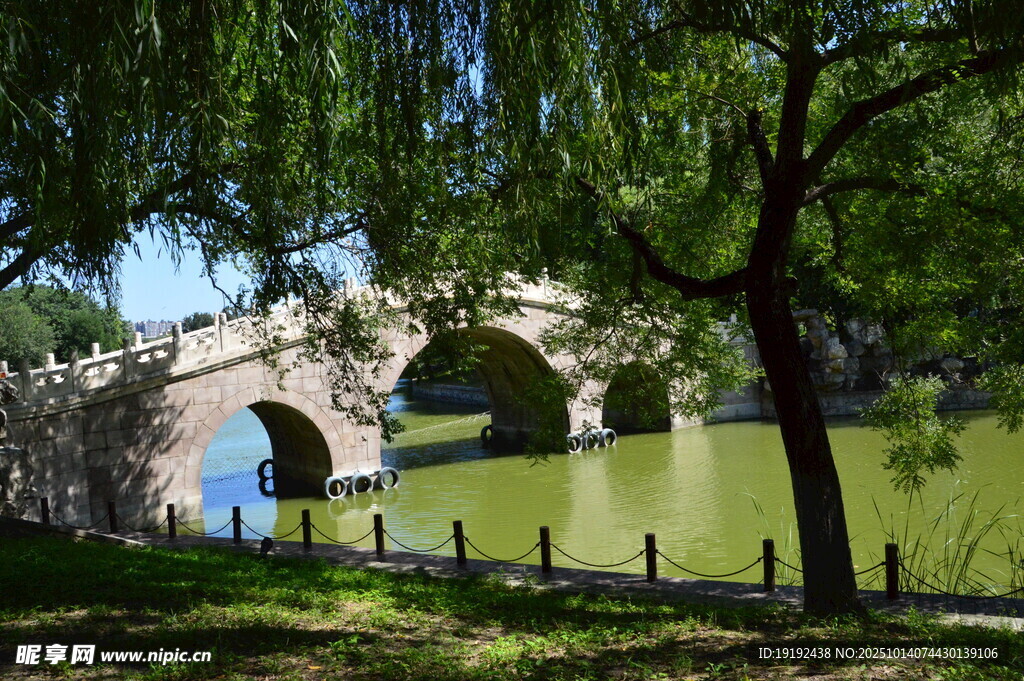 公园风景  