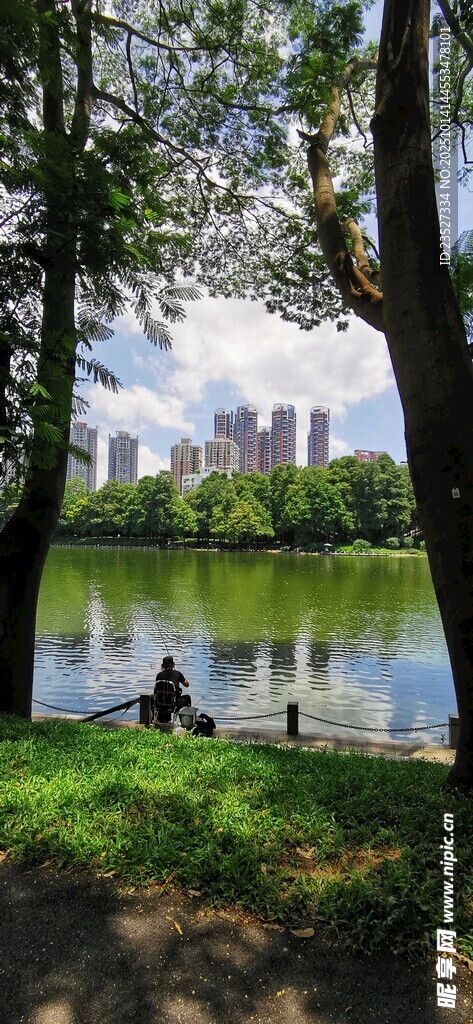洪湖公园随拍 