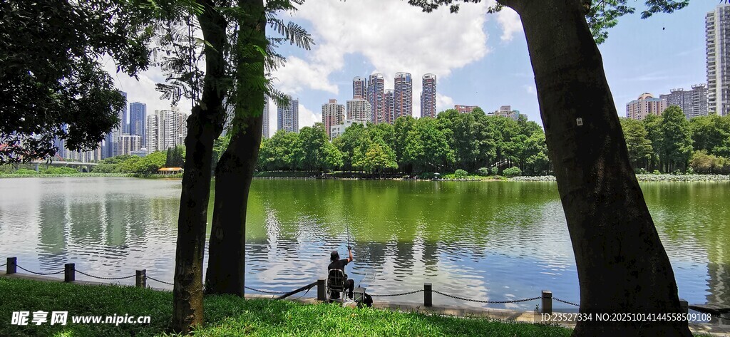 洪湖公园随拍 