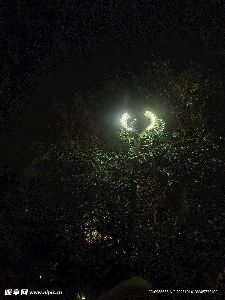 夜空中闪耀的璀璨灯光