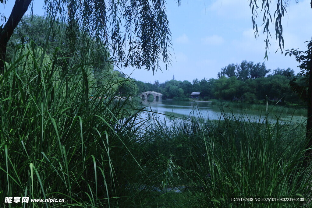 公园风景 