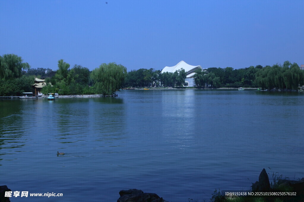 公园风景 