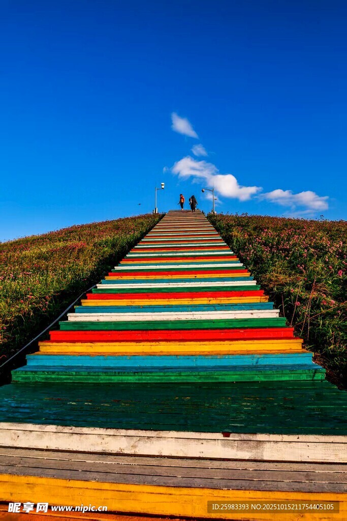 彩色阶梯