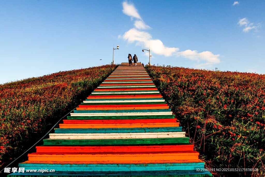 彩色阶梯