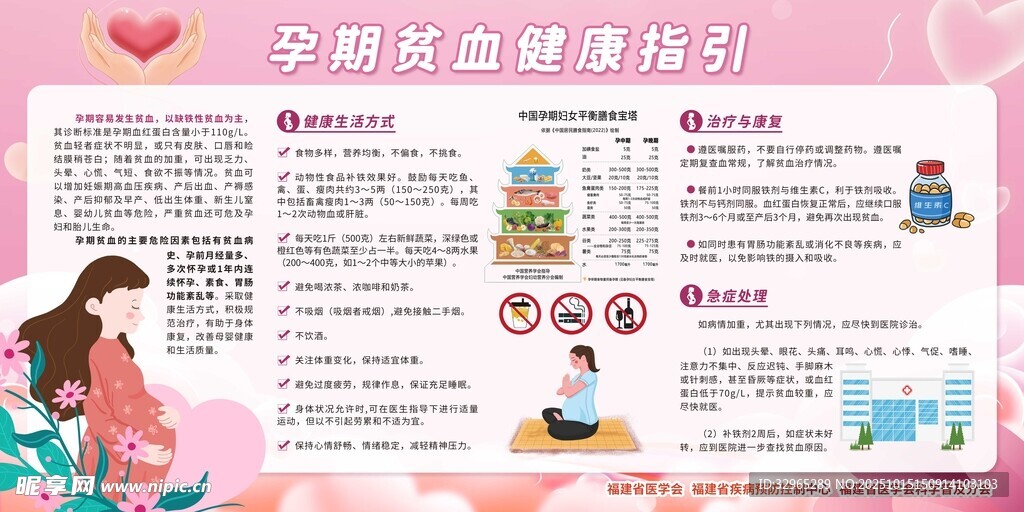 孕期贫血健康指引 宣传栏