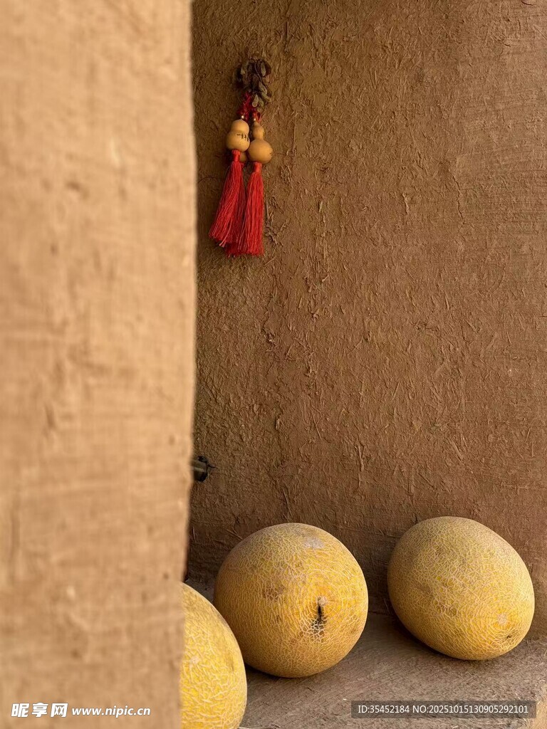 土墙甜瓜