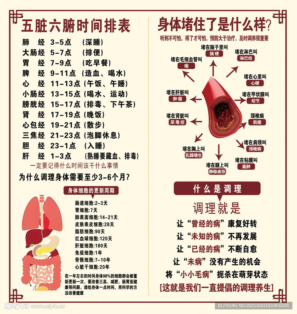 五脏六腑时间排表