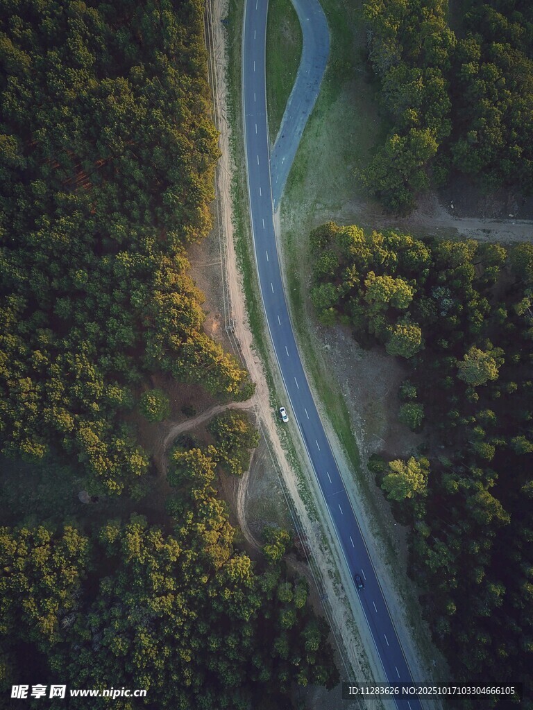 蜿蜒公路穿梭茂密丛林