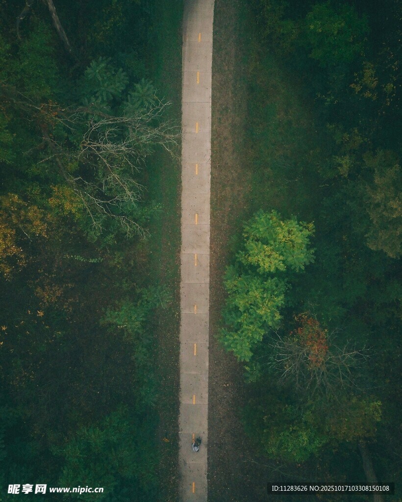空中俯瞰林间小路