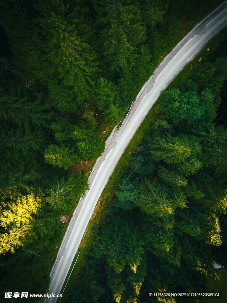 林间蜿蜒公路航拍美景