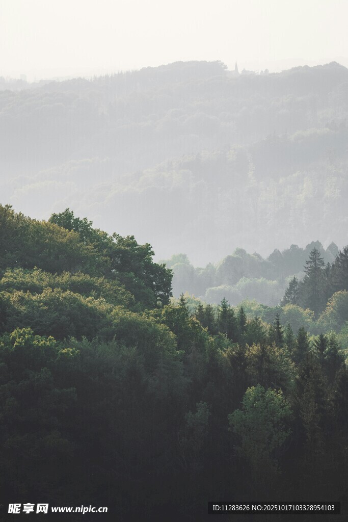 山林晨雾景观