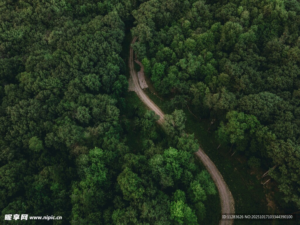 俯瞰山林间蜿蜒小路