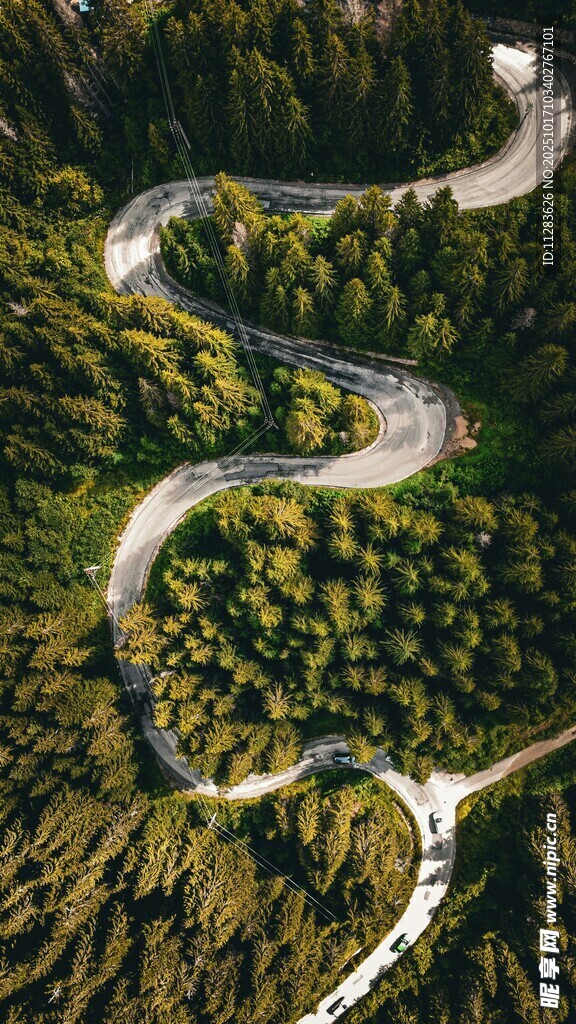 蜿蜒山路穿梭于葱郁山林