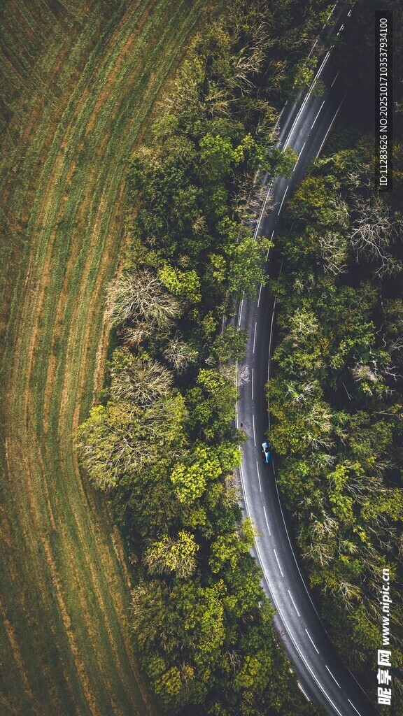蜿蜒公路穿行翠绿田野