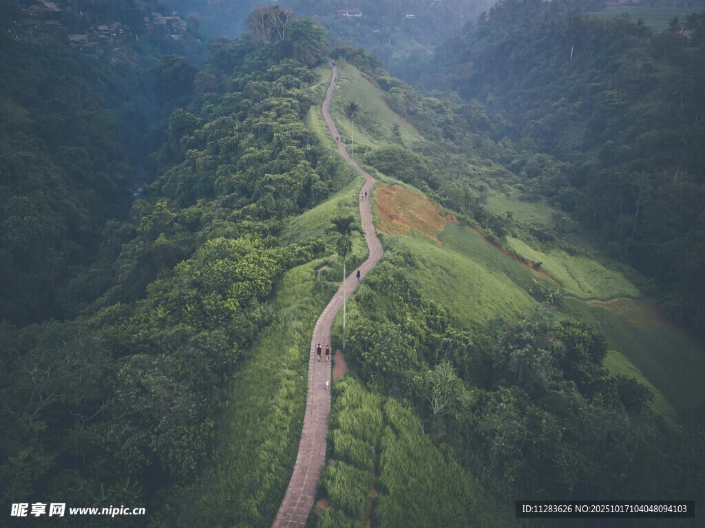 山间蜿蜒小路的美丽景致