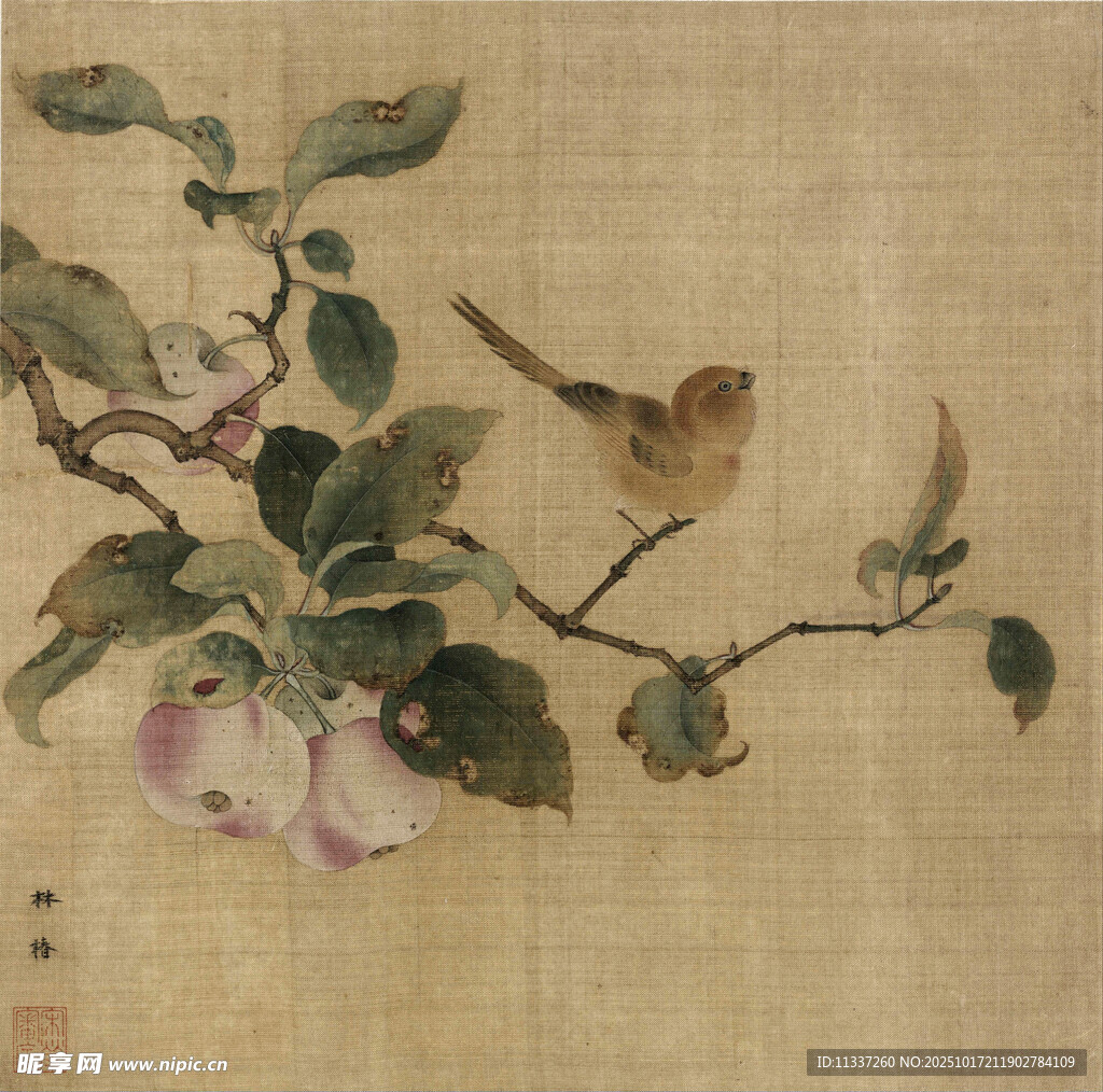 枝头双鸟伴繁花