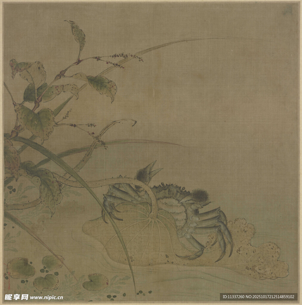 古画中的螃蟹与植物