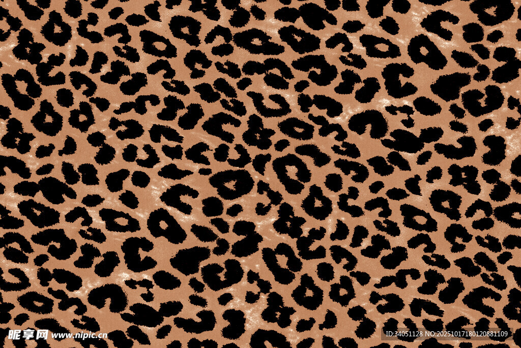 豹纹图案纹理背景