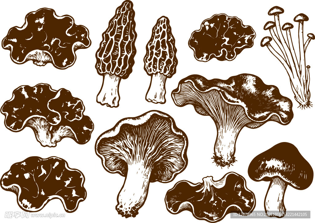 手绘多样蘑菇图案