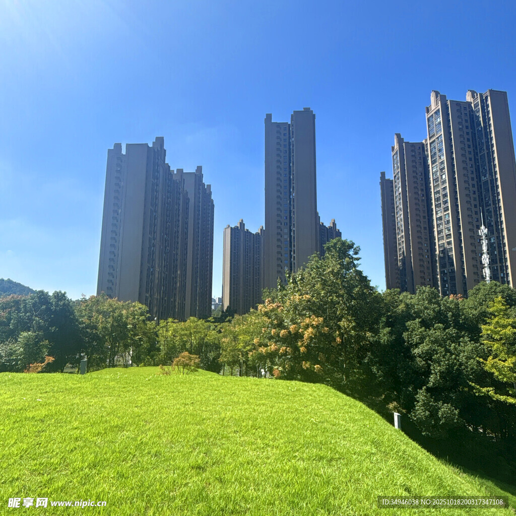 城市绿地旁的高楼景观