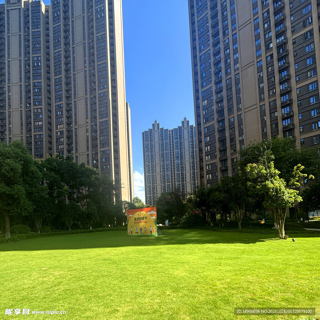 城市草坪旁的高楼景观