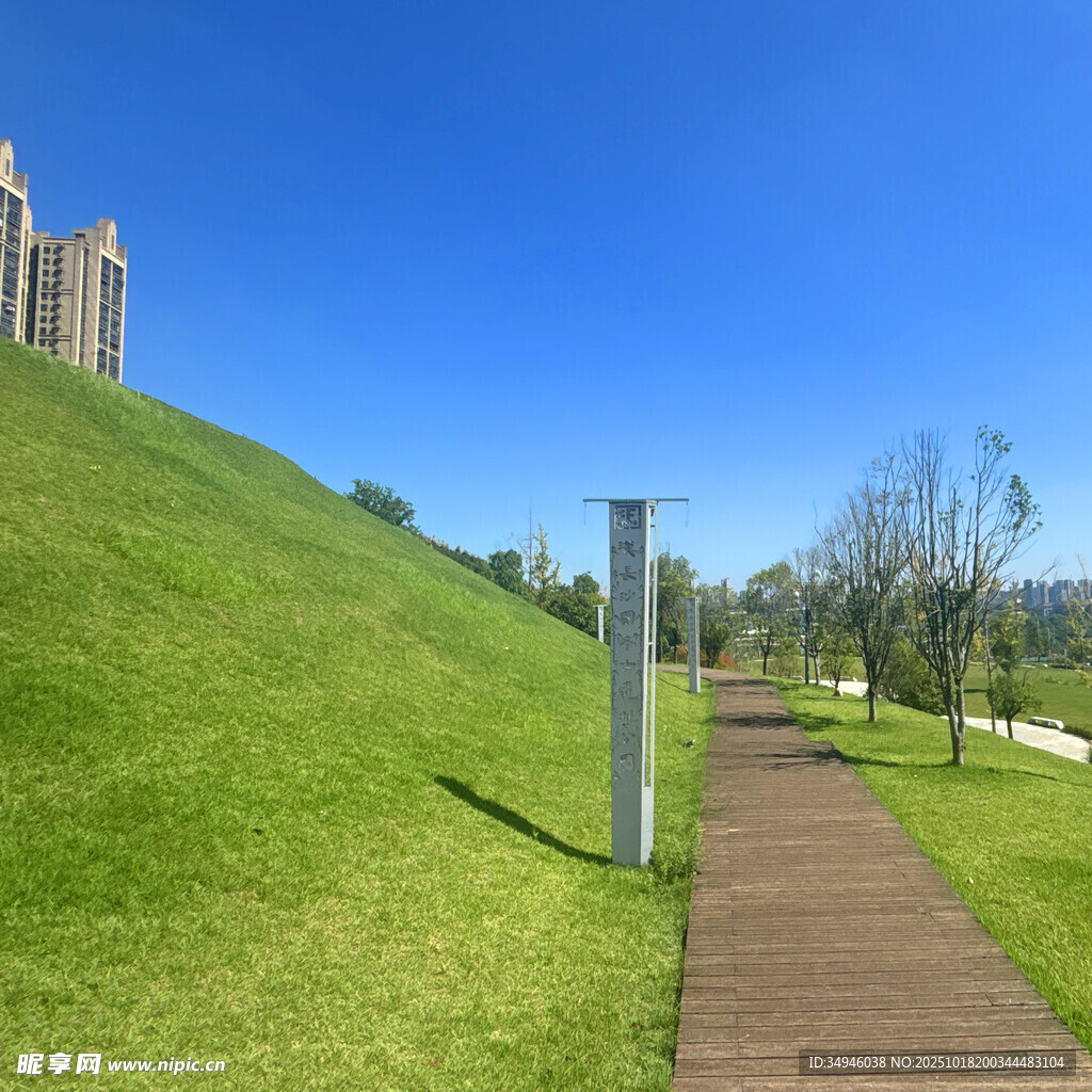 绿草如茵的休闲步道