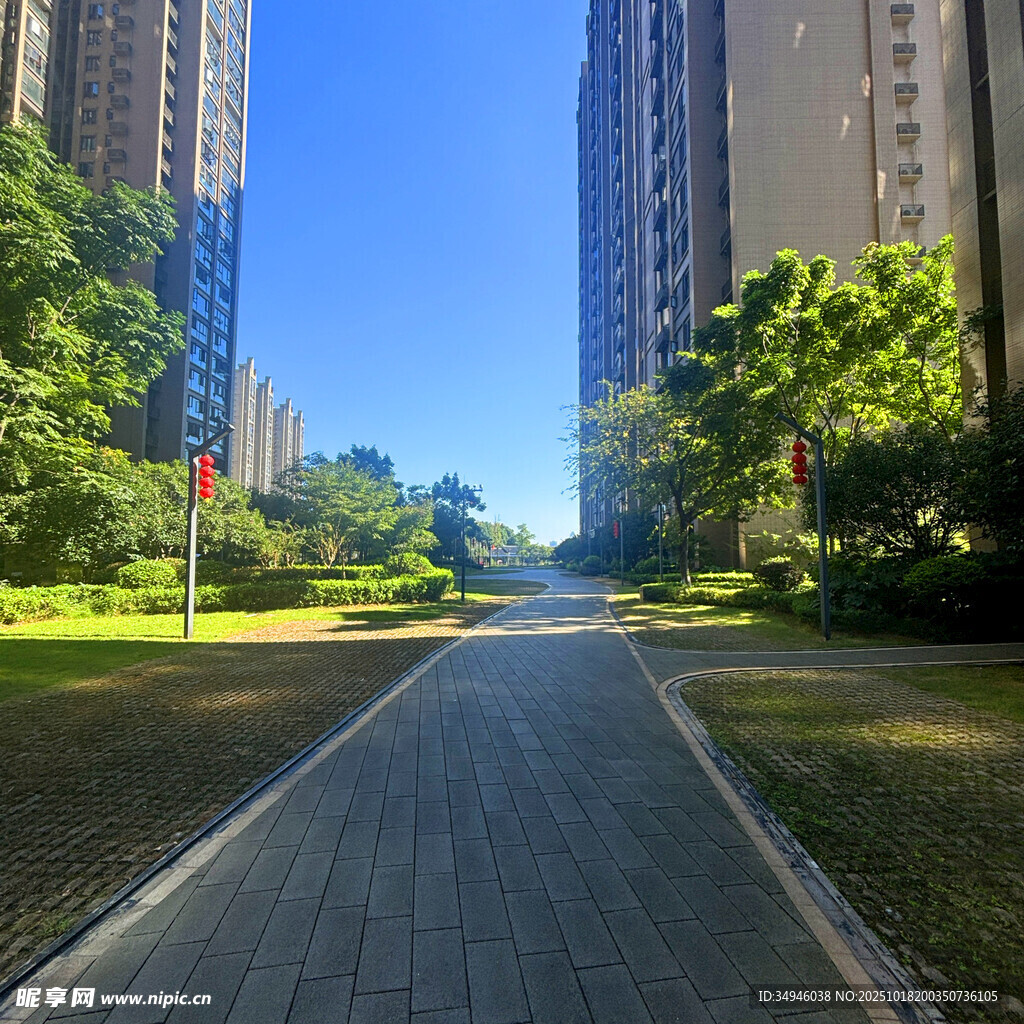 城市中的宁静林荫步道