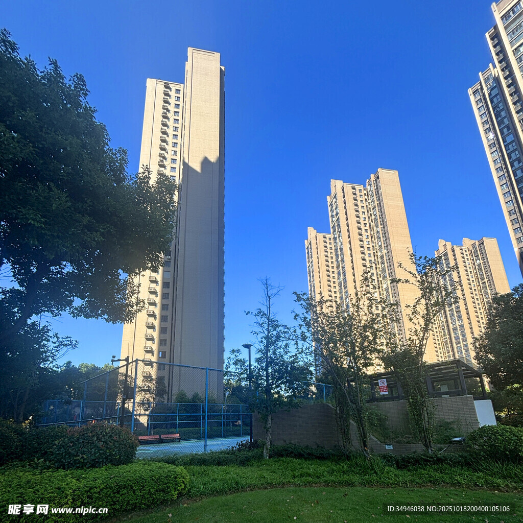 城市高楼旁的绿植景观