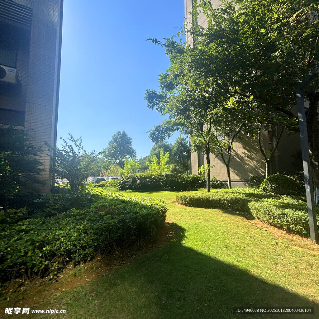 小区内绿意盎然的景观