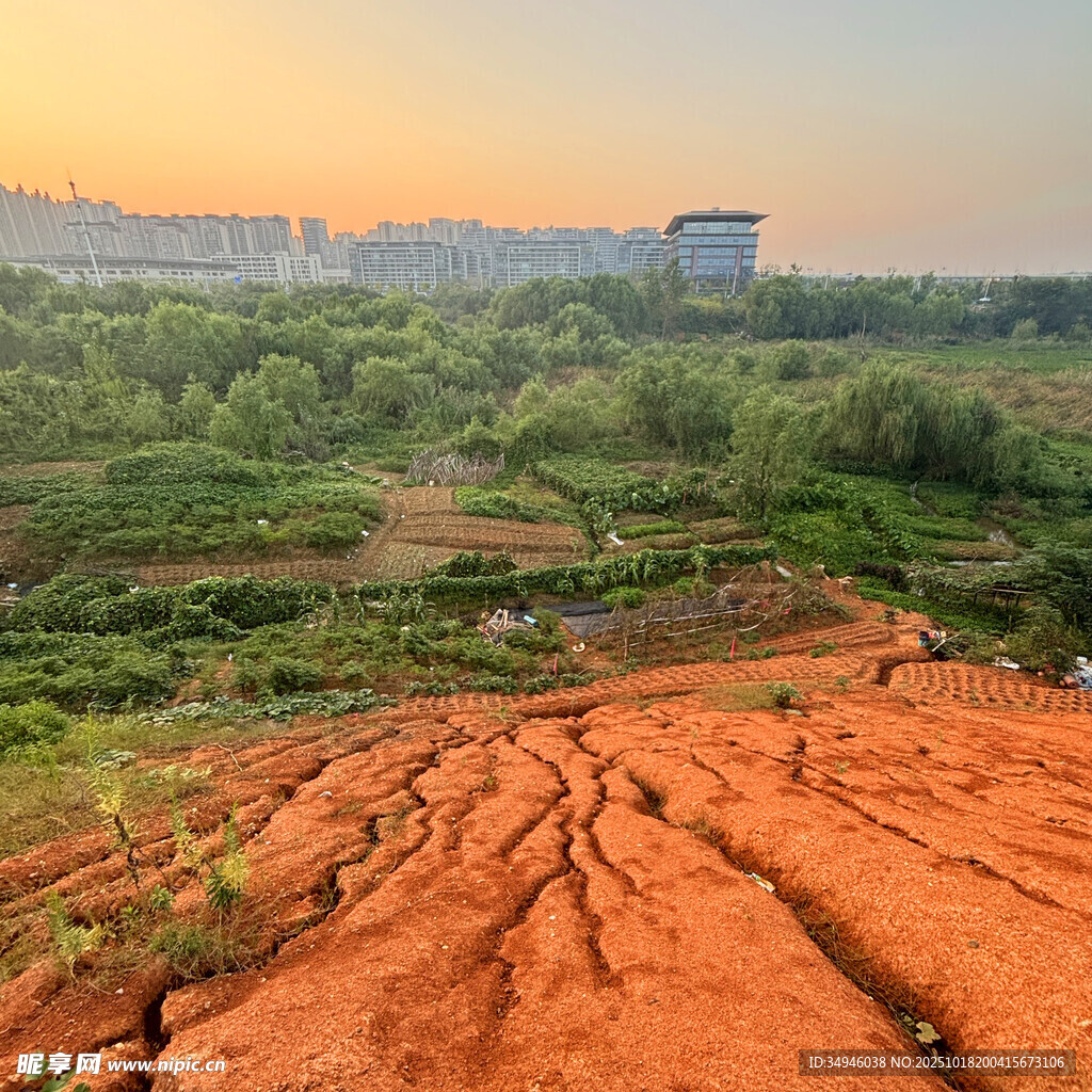 夕阳下的红土地与绿野