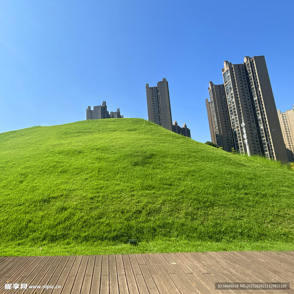 绿草如茵旁的都市高楼