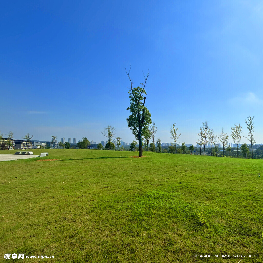 广阔绿草地与蓝天绿树