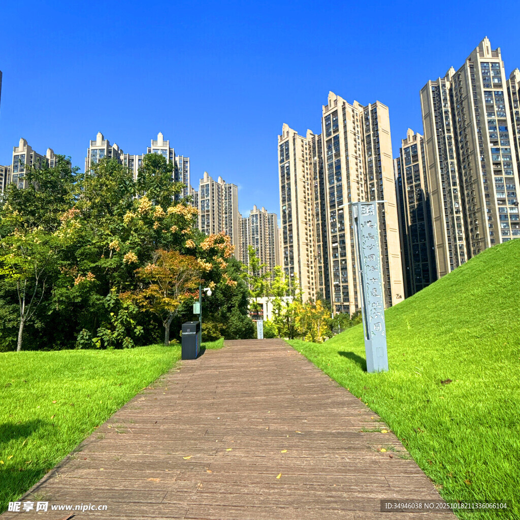 城市中漫步的绿荫小径